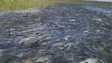 Рыбалка в марте галлерея 1 фото 2